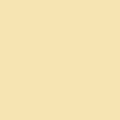 czip_kosc_sloniowa-S.png