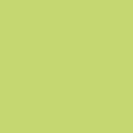 czip_mietowy-S.png