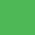 czip_zielono_zolty-S.png