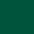 czip_zielony_soczysty_matowy-S.png