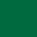 czip_EXPRESS_TOP_zielone_pojecie-S.png
