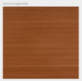 sosna oreg.png