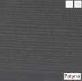patyna.png
