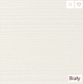 Biały.png