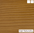 Dąb naturalnyy.png
