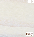Biały.png