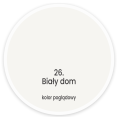 biały dom.png