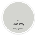 lekko szary.png