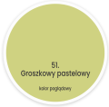 groszkowy pastelowy.png