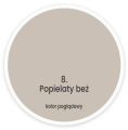 popielaty beż.png