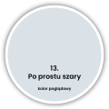PO PROSTU SZARY.jpg