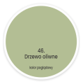 drzewo oliwne .png