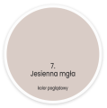 jesienna mgła.png