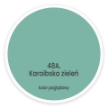 Karaibska_Zielen_5904000062127.jpg