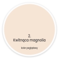Kwitnaca_Magnolia.jpg