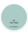 Liść mięty 2,5l.png