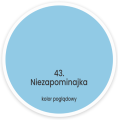 niezapominajka.png